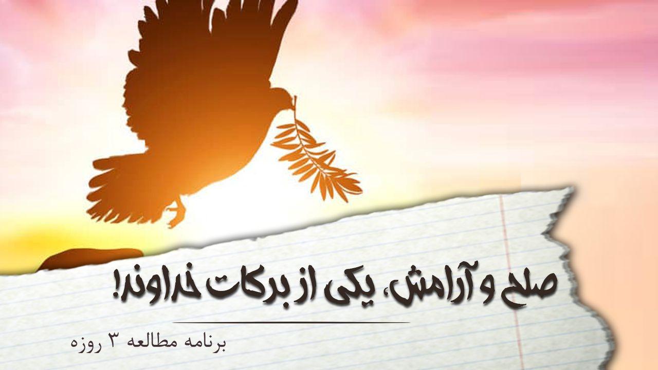 صلح و آرامش، یکی از برکات خداوند! 