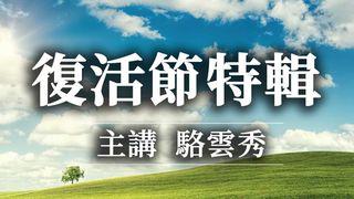 復活節特輯 約翰福音 20:29 新標點和合本, 神版