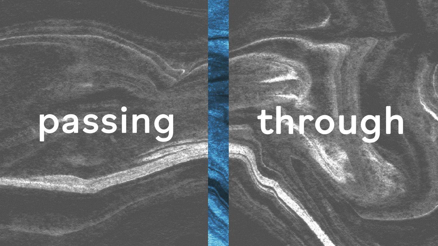 Passing Through: A Devotional Prayer Guide Exodus 29:46 New Living Translation