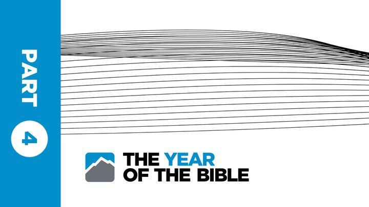 Year of the Bible: Part Four of Twelve 