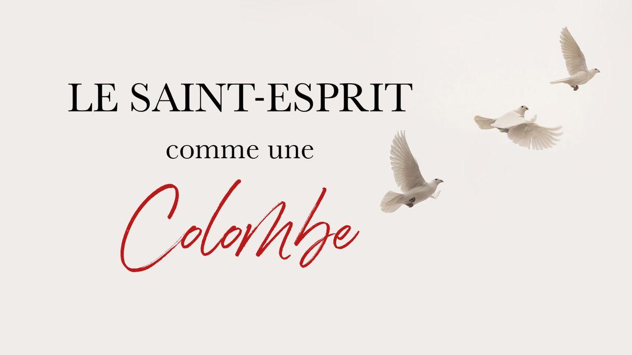  Le Saint-Esprit Comme Une Colombe - Freddy De Coster