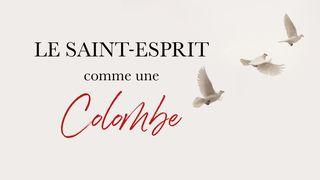  Le Saint-Esprit Comme Une Colombe - Freddy De Coster मत्ती 10:16 ईनर सराजी मे नया नियम
