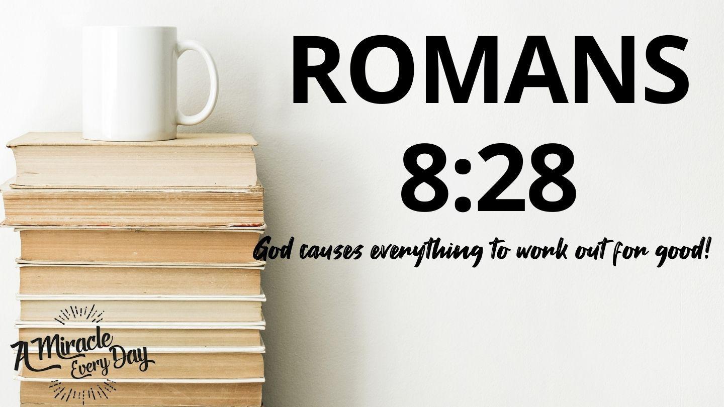 Romans 8:28 