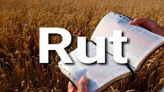 Rut en 10 Versículos Rut 2:8-23 Nueva Versión Internacional - Español