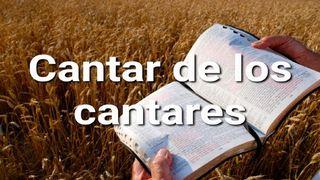 Cantar de los Cantares en 10 Versículos Cantares 1:16 Biblia Reina Valera 1960