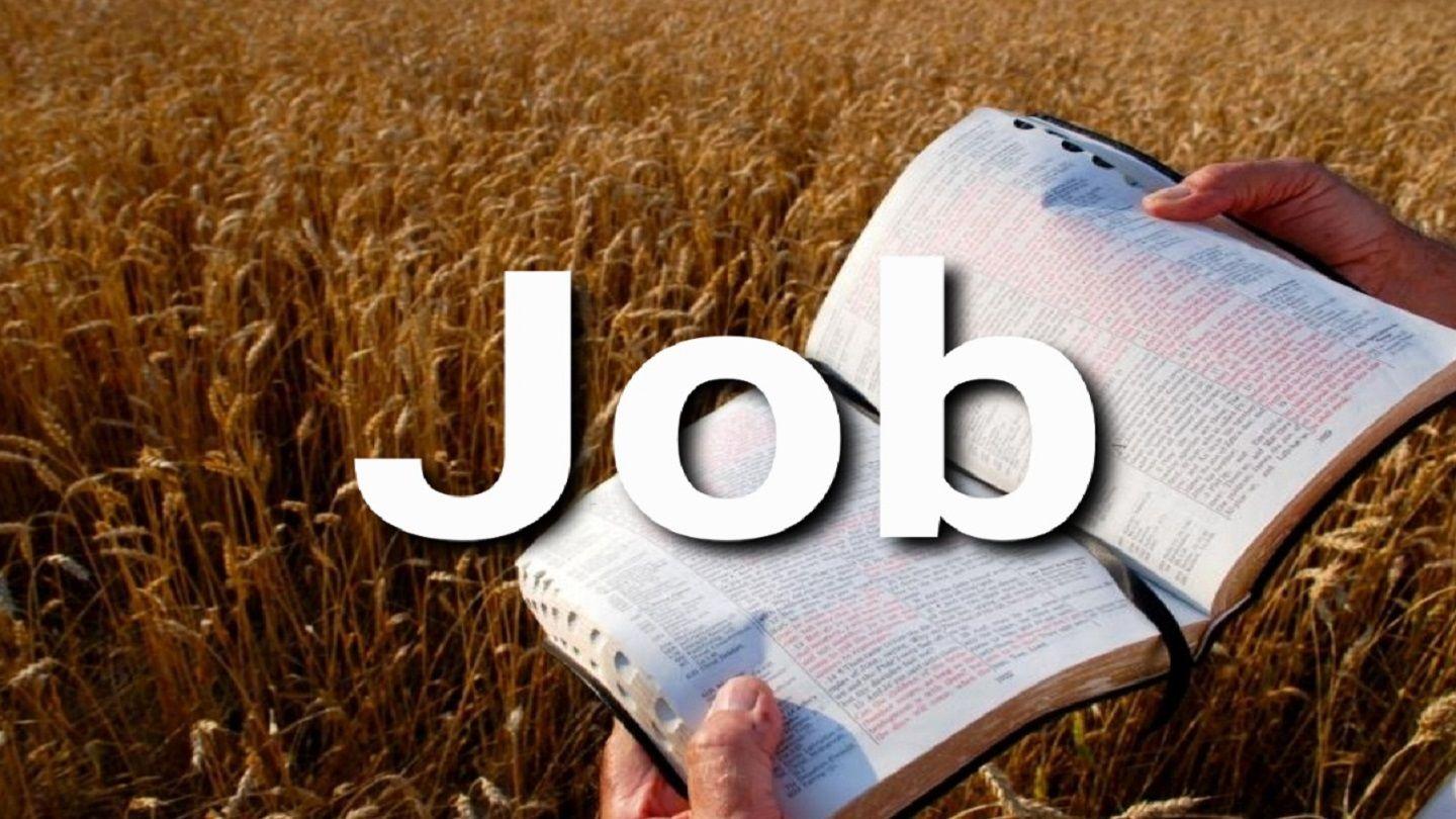 Job en 10 Versículos Job 1:8-11 Nueva Traducción Viviente