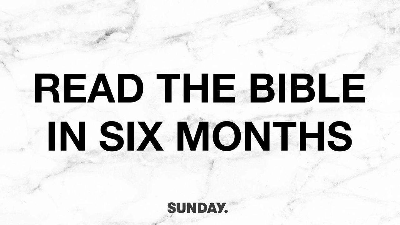 The Bible Study: 6 Months