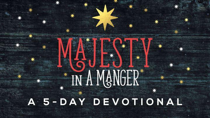 Majesty In A Manger