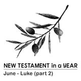 New Testament in a Year: June