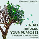 What Hinders Your Purpose?