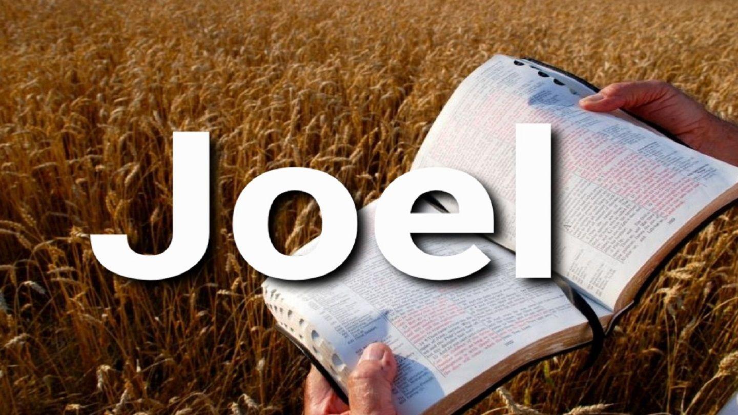 Joel en 10 Versículos JOEL 2:3 Biblia Reina Valera 1960