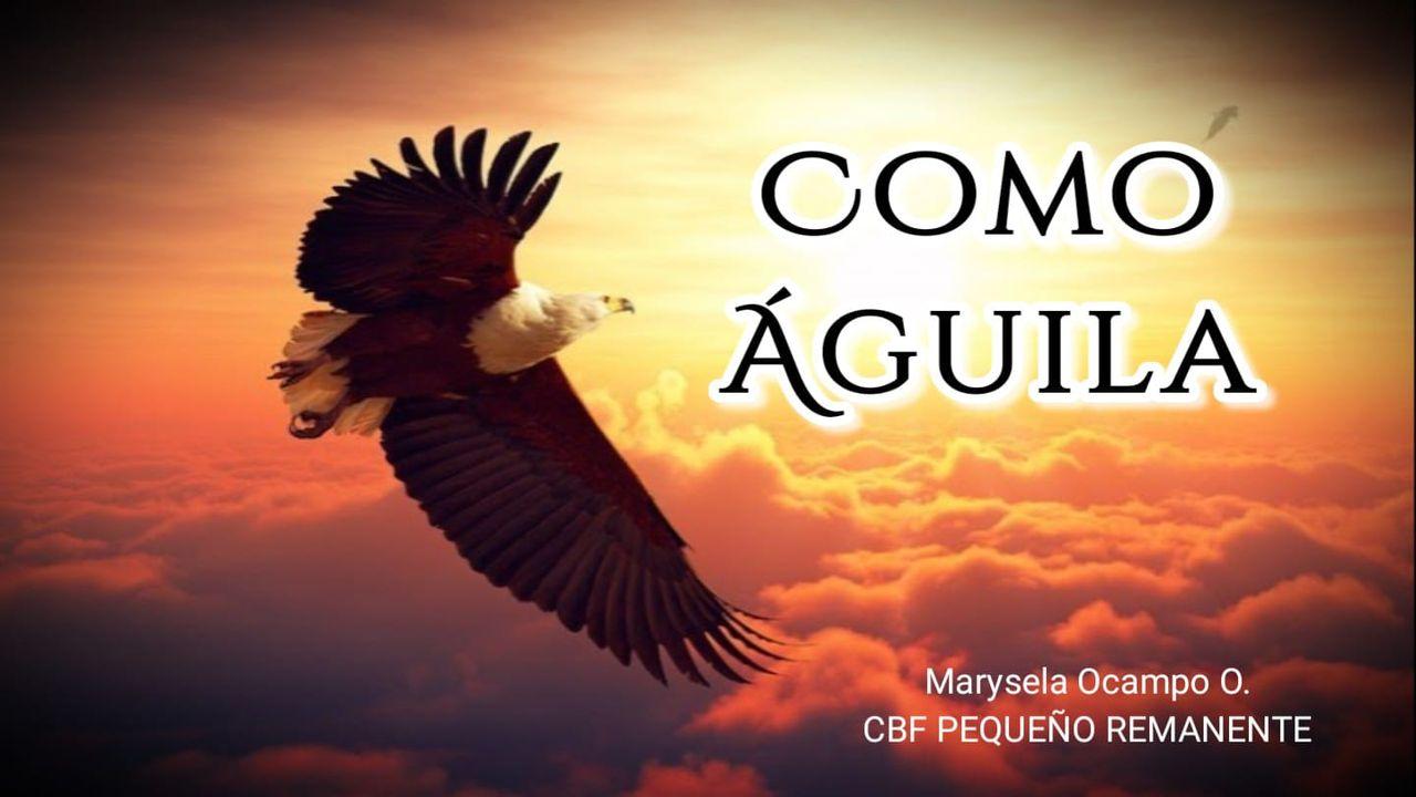 Como Águila