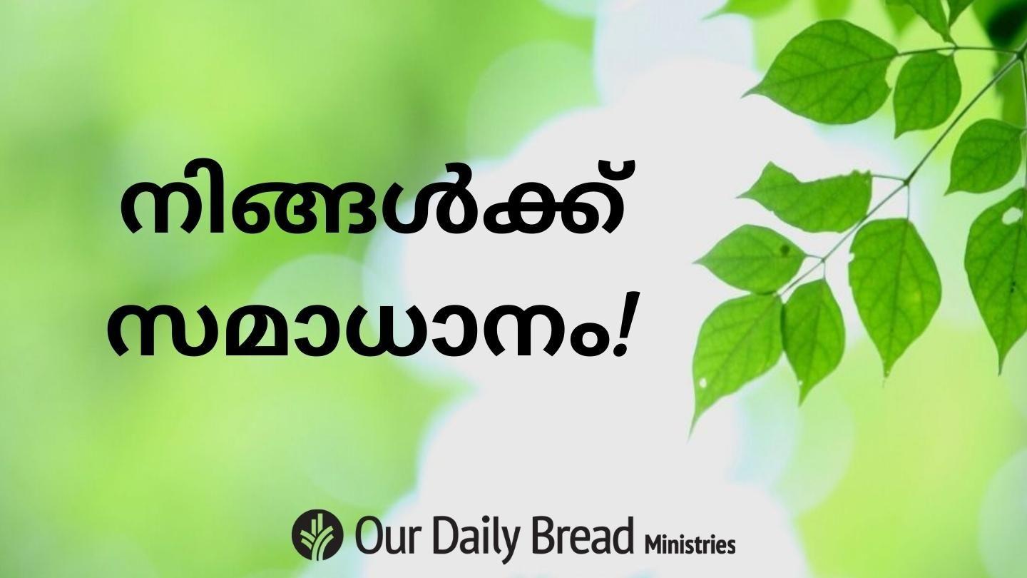 നിങ്ങൾക്ക് സമാധാനം! 1 JOHANA 3:13 സത്യവേദപുസ്തകം C.L. (BSI)