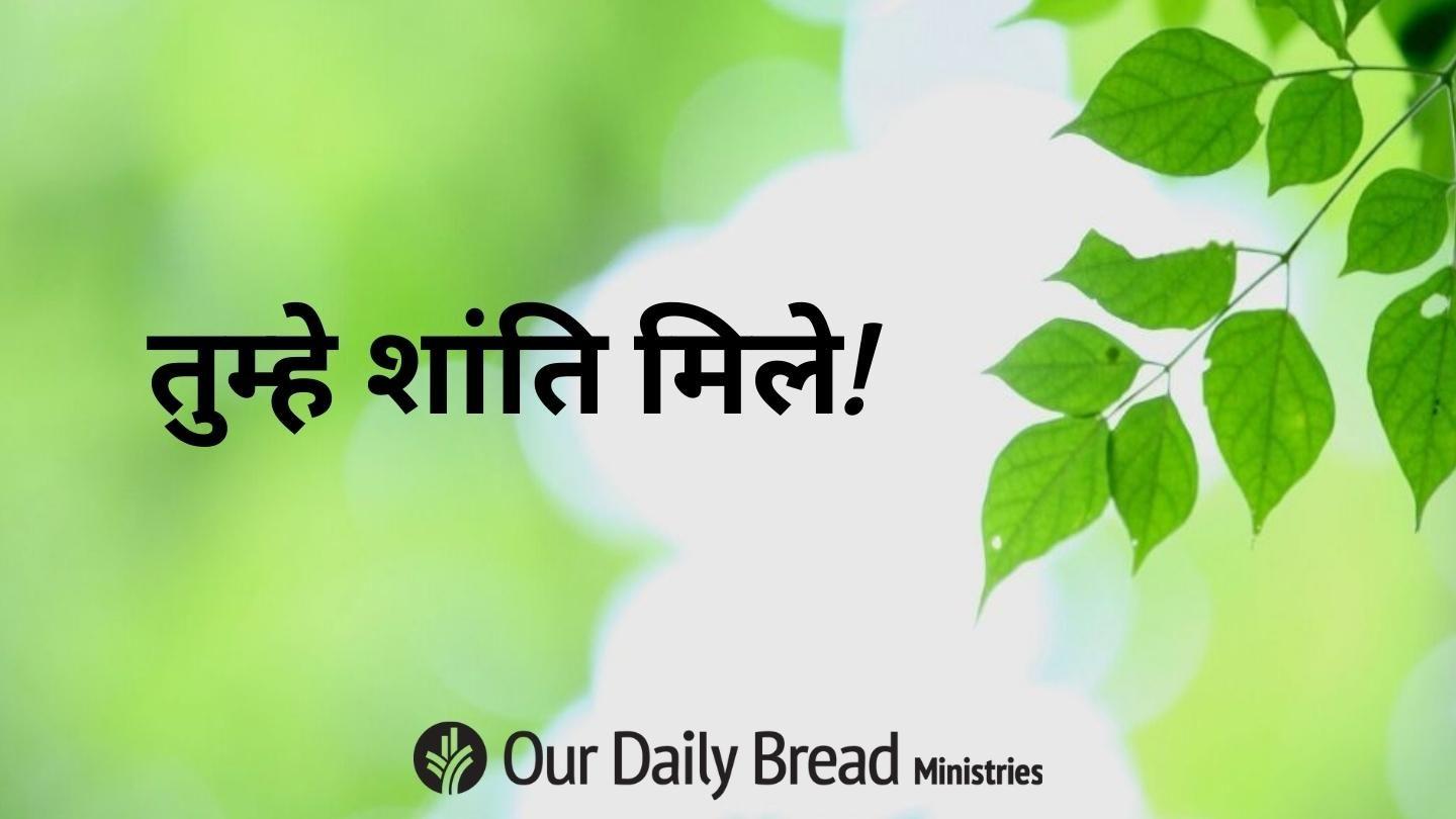 तुम्हे शांति मिले! मत्ती 28:18 पवित्र बाइबिल OV (Re-edited) Bible (BSI)
