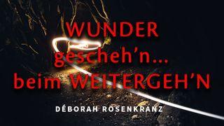 Wunder gescheh‘n… beim Weitergeh‘n! Mateo 8:8 Nuevo Testamento Toba Sur