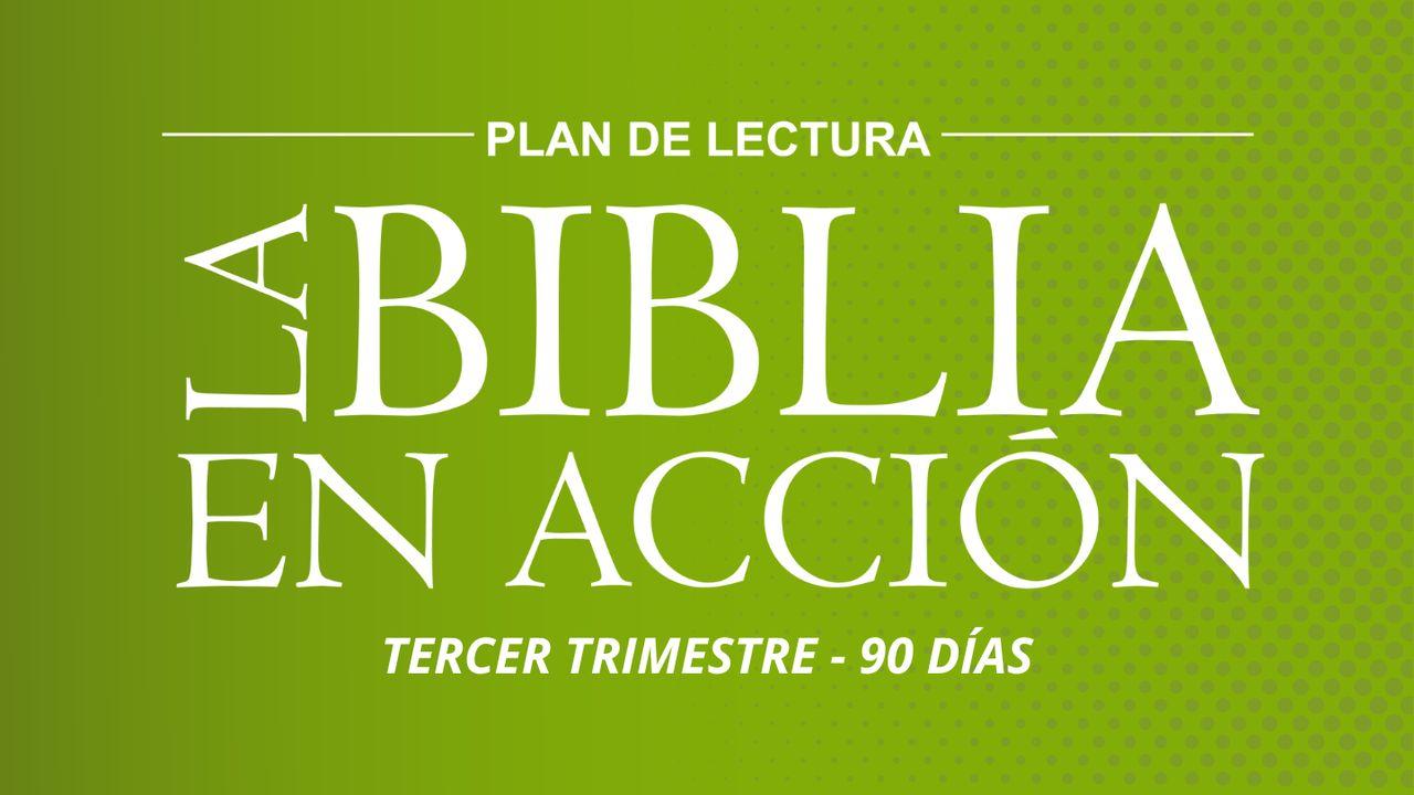 La Biblia en Acción - Tercer Trimestre