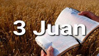3 Juan en 10 versículos 3 Juan 1:1-14 Biblia Dios Habla Hoy