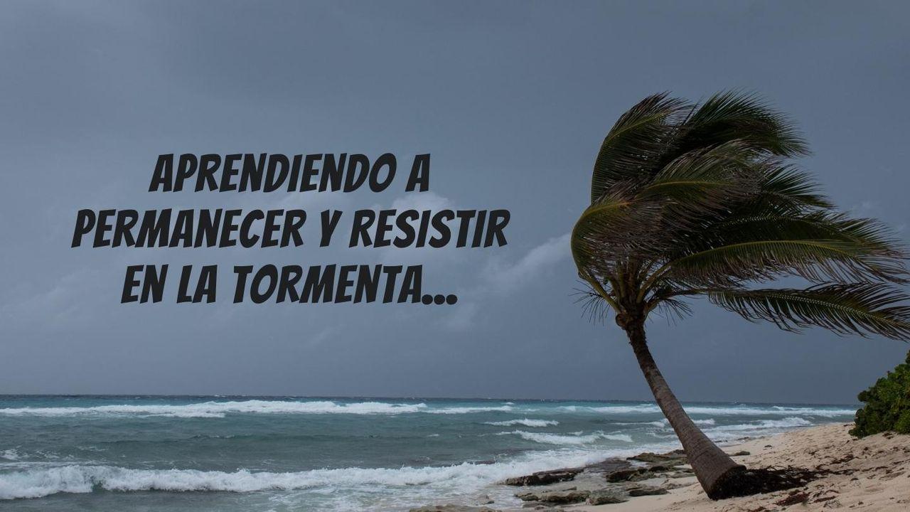 Aprendiendo a Permanecer Y Resistir en La Tormenta