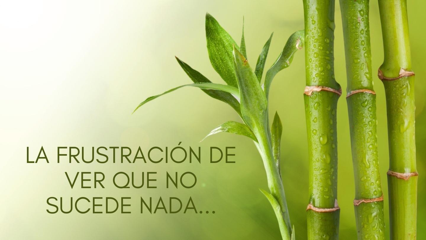 La Frustración De Ver Que No Sucede Nada Gênesis 21:6 Bíblia Sagrada, Nova Versão Transformadora