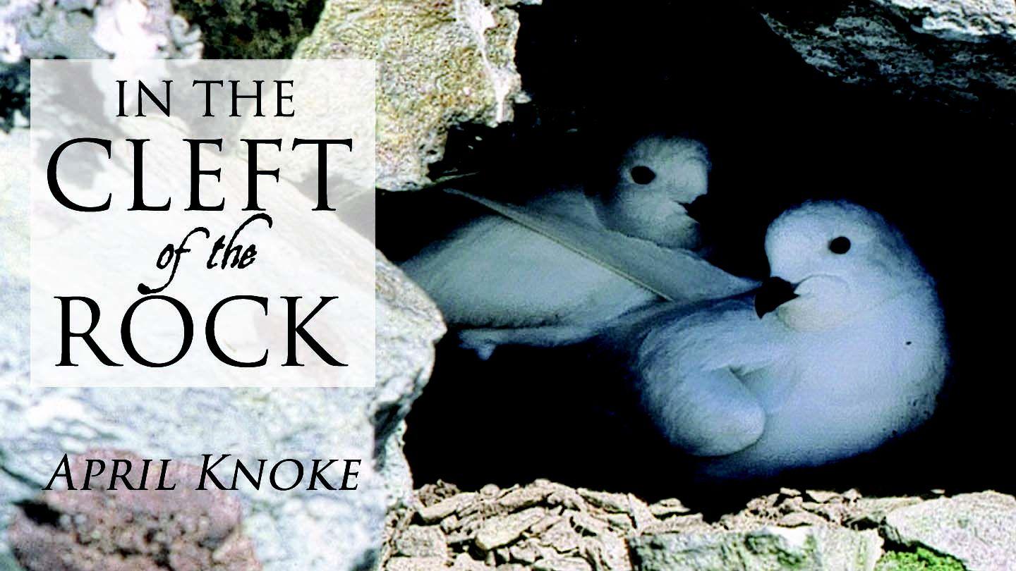 In the Cleft of the Rock 2 Corinthians 4:8-11 New International Version (Anglicised)