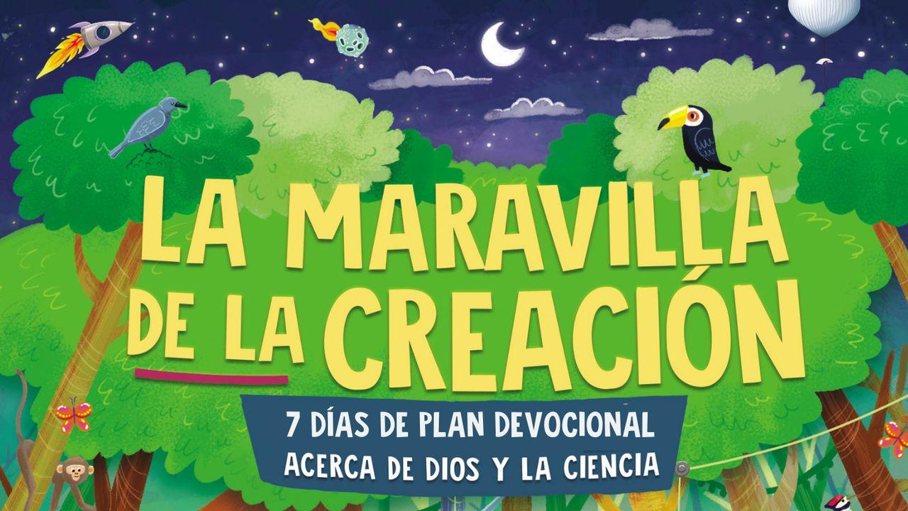 La Maravilla De La Creación