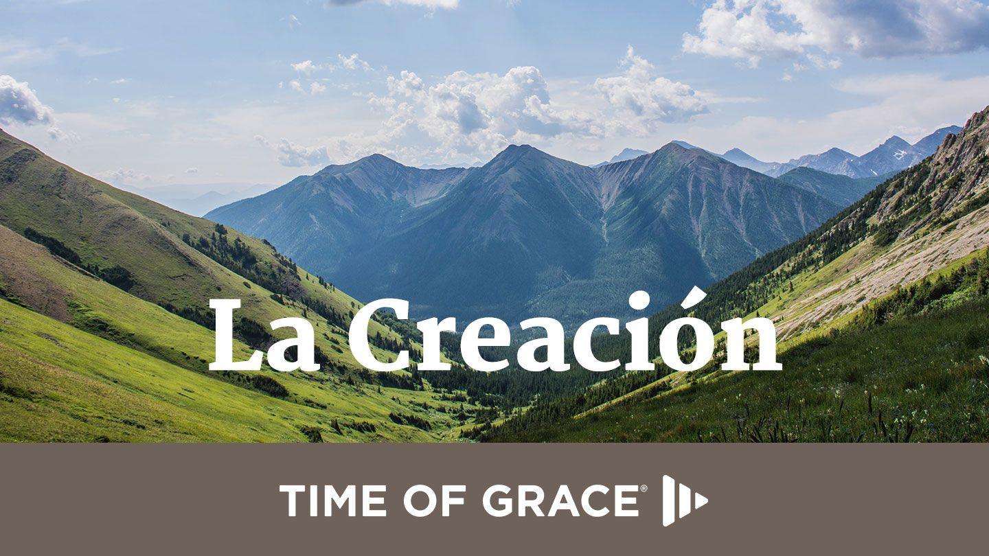 La Creación Romans 1:20 New Revised Standard Version