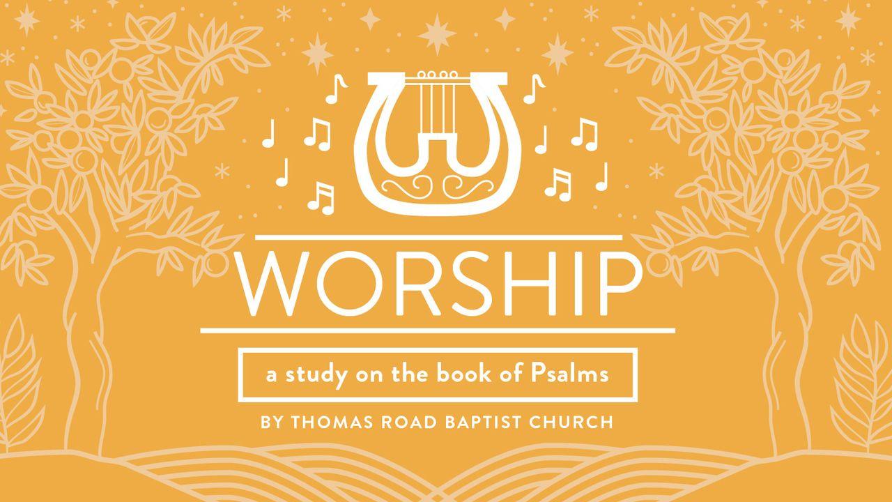 Worship: A Study in Psalms