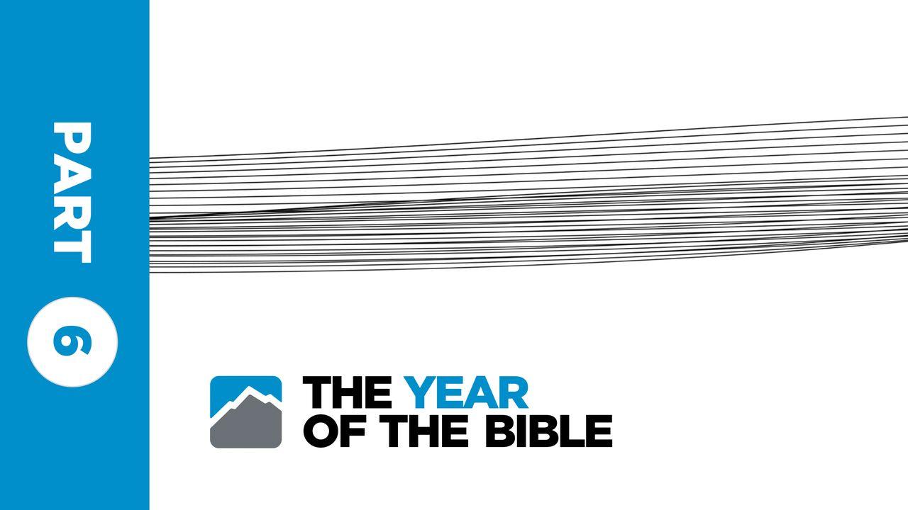 Year of the Bible: Part Six of Twelve 