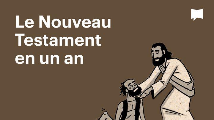 BibleProject | Le Nouveau Testament en un an