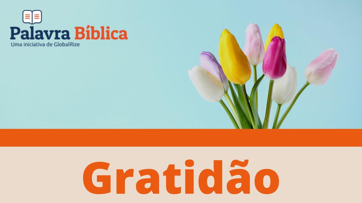 Gratidão LAMENTAÇÕES 3:18-25 a BÍBLIA para todos Edição Católica