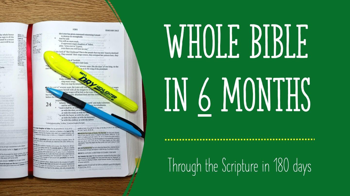 Whole Bible in 6 Months