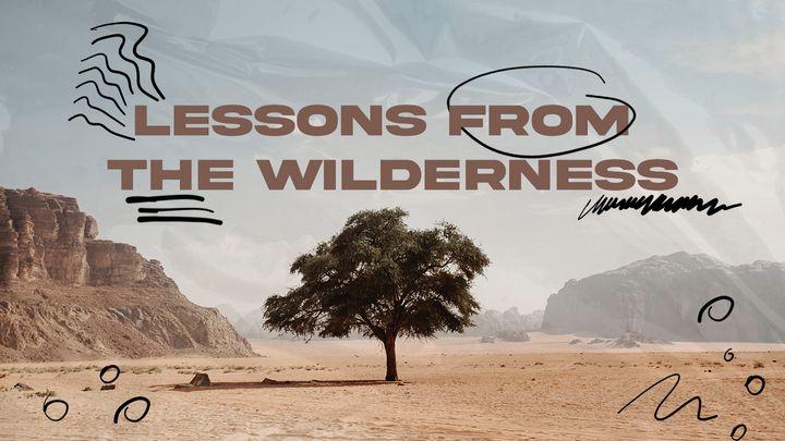 Lessons From the Wilderness