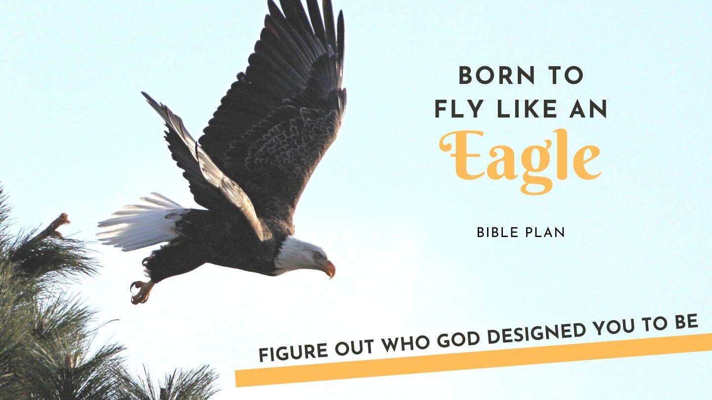 Born to Fly Like an Eagle! Naiˍ htangˍ 4:31 Pyen