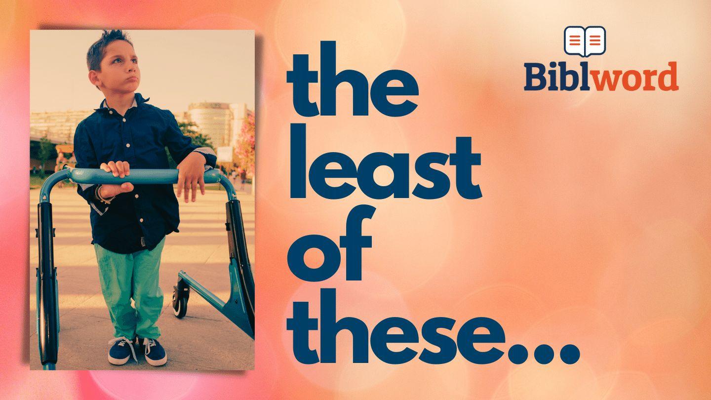 The Least of These Matthew 13:24-45 King James Version
