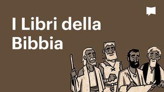 BibleProject | I Libri della Bibbia