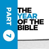 Year of the Bible: Part Seven of Twelve