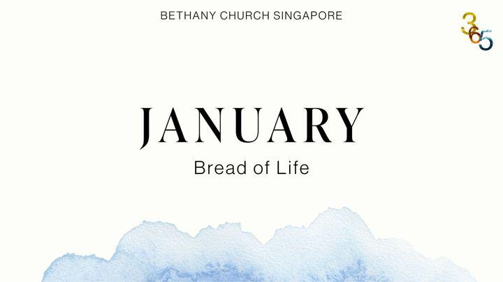 Bible Yearly Plan for January