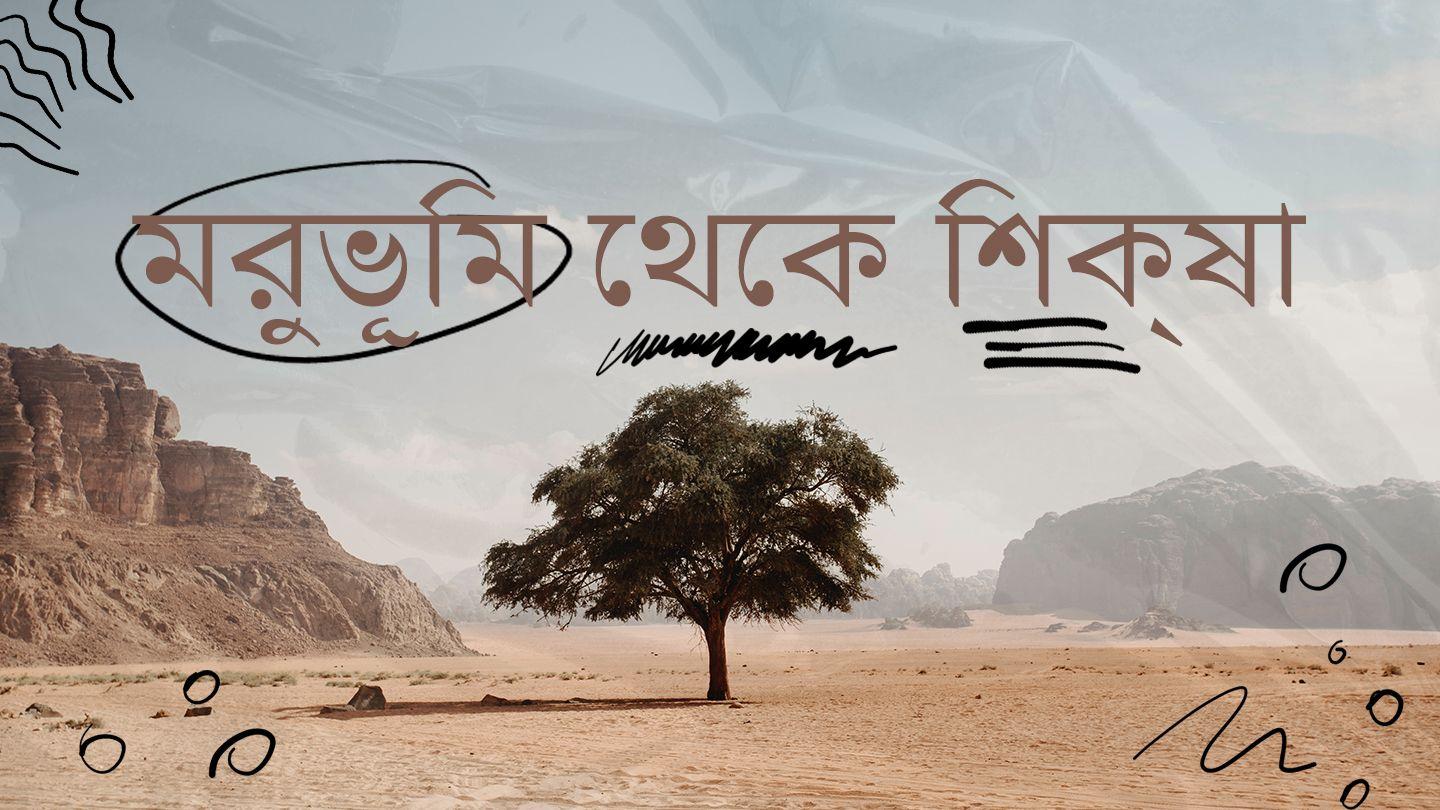 মরুভূমি থেকে শিক্ষা