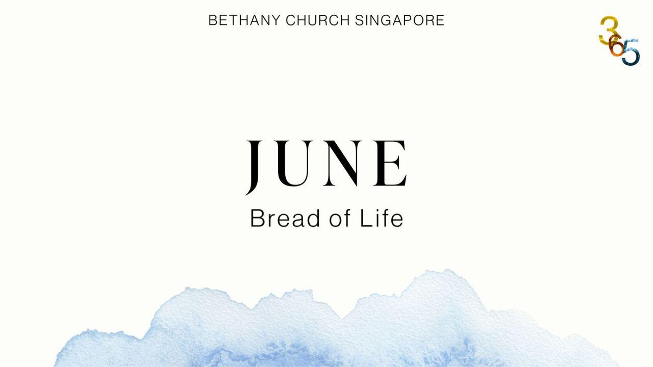 Bible Yearly Plan for June