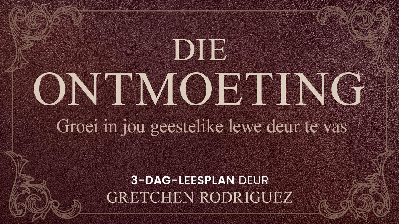 Die Ontmoeting