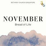 Bible Yearly Plan for November