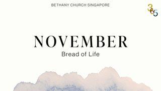 Bible Yearly Plan for November