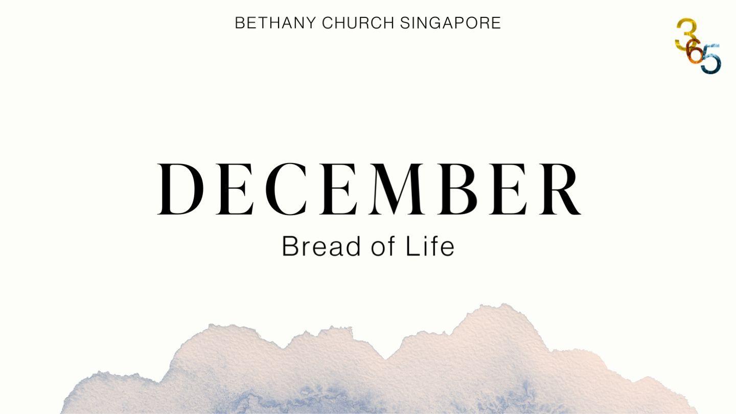 Bible Yearly Plan for December