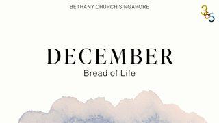 Bible Yearly Plan for December