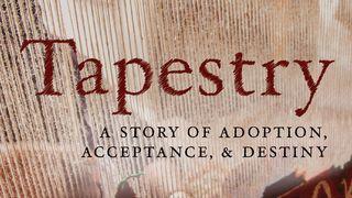 Tapestry التكوين 20:37 كتاب الحياة