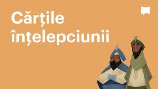 BibleProject | Cărțile înțelepciunii