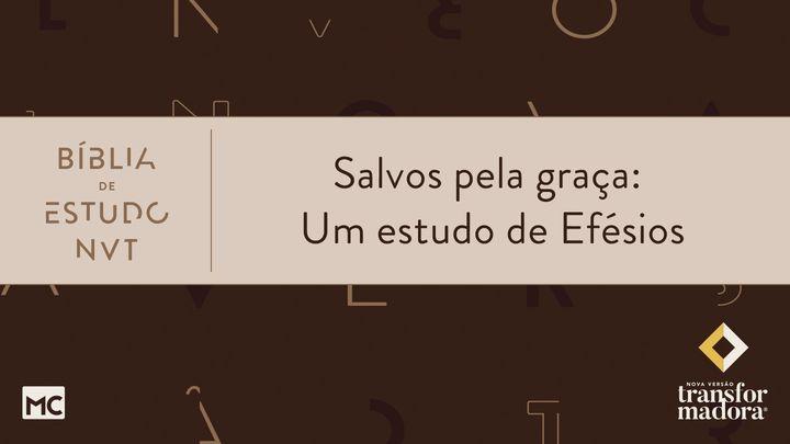 Salvos pela graça: Um estudo de Efésios