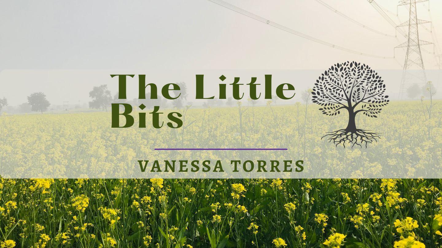 The Little Bits MATEO 17:20 La Palabra (versión española)