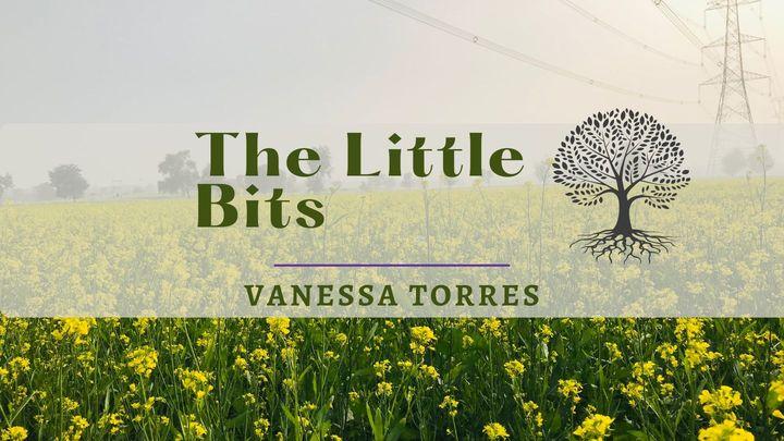 The Little Bits