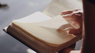 O tesouro de Davi Salmos 24:1-10 Nova Tradução na Linguagem de Hoje
